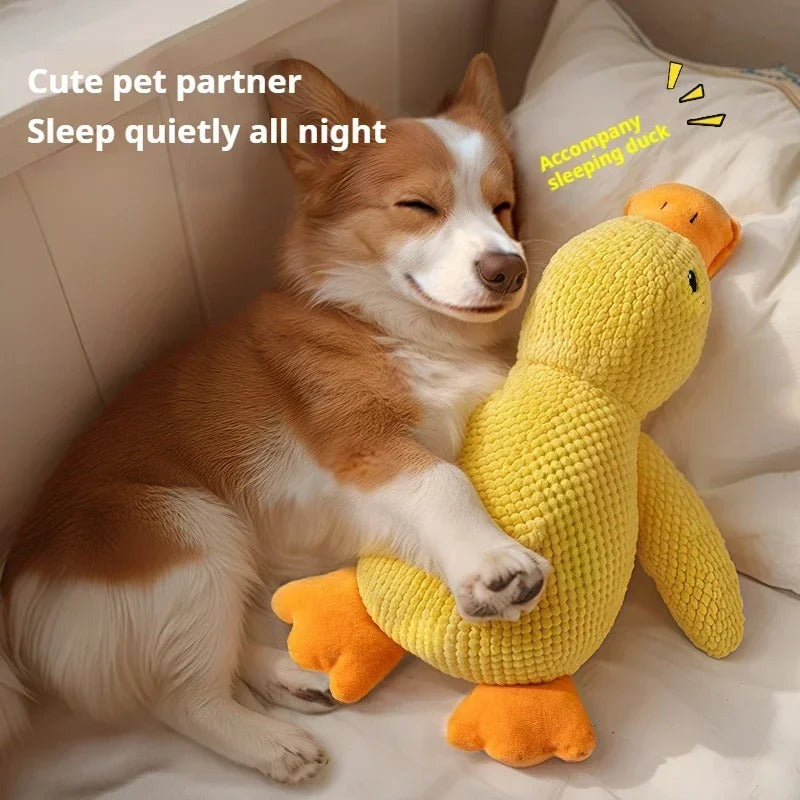 THE PERFECT SLEEP PARTNER