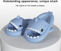 Shark Slides