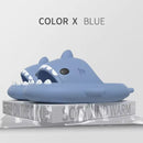 Shark Slides