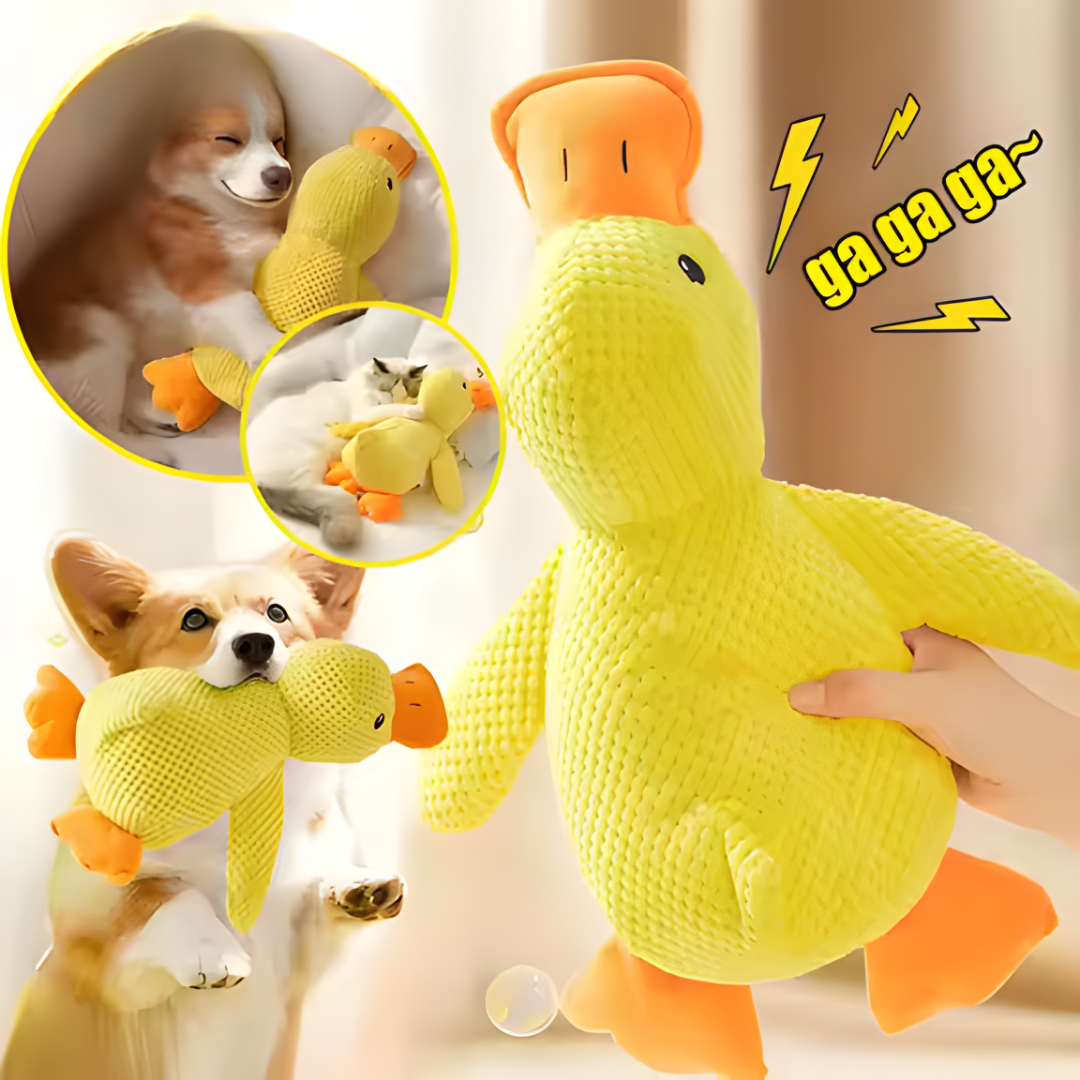 A QUACK THEY CAN’T RESIST