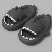 Shark Slides