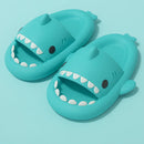 Shark Slides