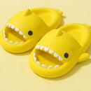 Shark Slides