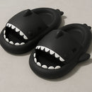 Shark Slides