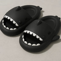 Shark Slides