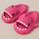 Shark Slides
