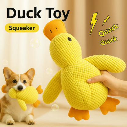 Dummy Duck Toy 🐥