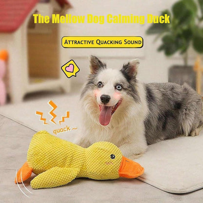 Dummy Duck Toy 🐥