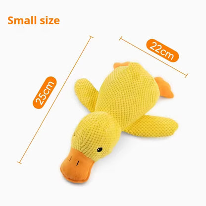 Dummy Duck Toy 🐥