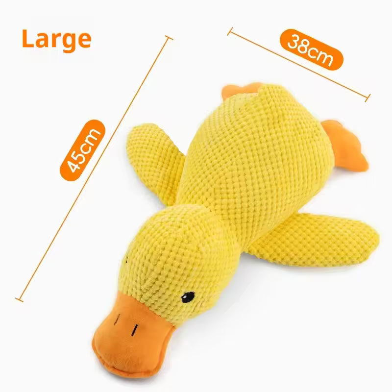 Dummy Duck Toy 🐥