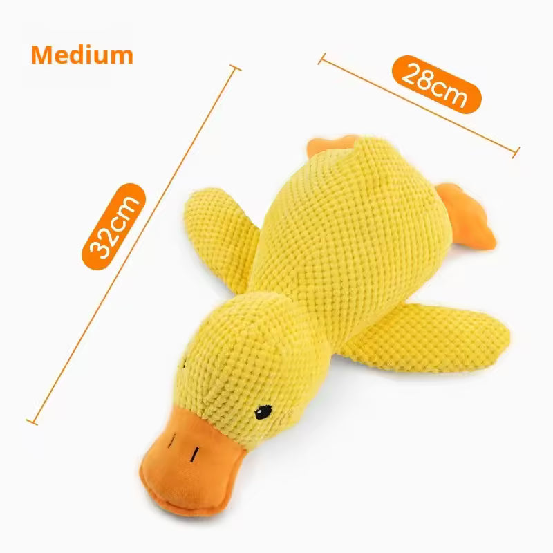 Dummy Duck Toy 🐥