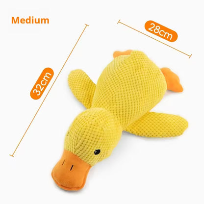 Dummy Duck Toy 🐥