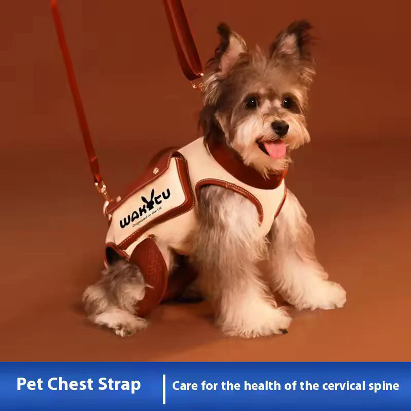 Pet carrier shoulder bag